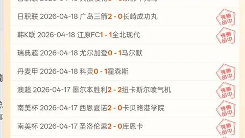 爱游戏体育